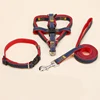 small medium and large dog chain dog leash from China Supplier