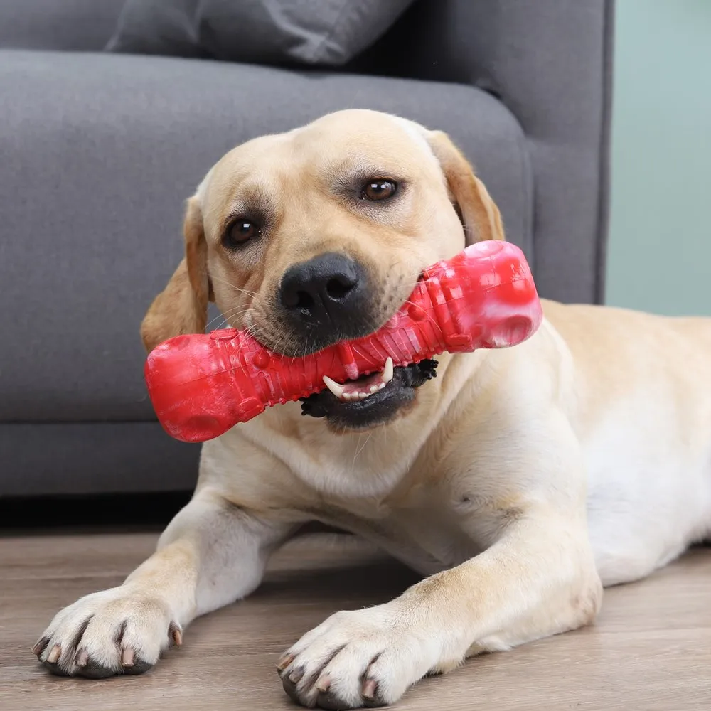 
amazon best selling pet supplies alligator teeth cleaning toys dog chew toothbrush 
