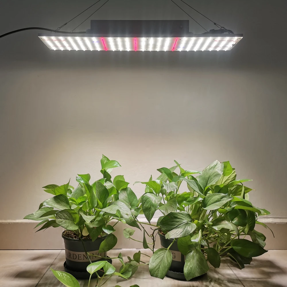 LIWEIDA 240 Watt Full Spectrum LED Board Grow Light Aluminum White Red Waterproof Plant Lamp with Temperature Control System