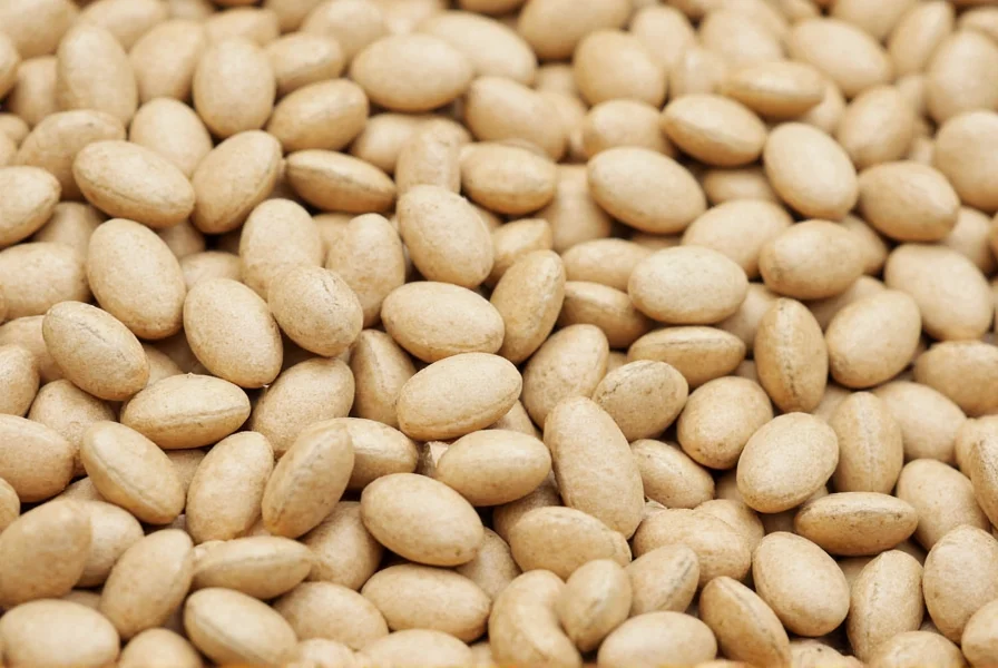 Fenugreek plant with close-up of seeds and leaves showing botanical features for scientific identification