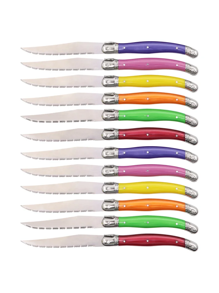 6 Pieces Stainless Steel Laguiole By Flying Colors Steak Knife Set