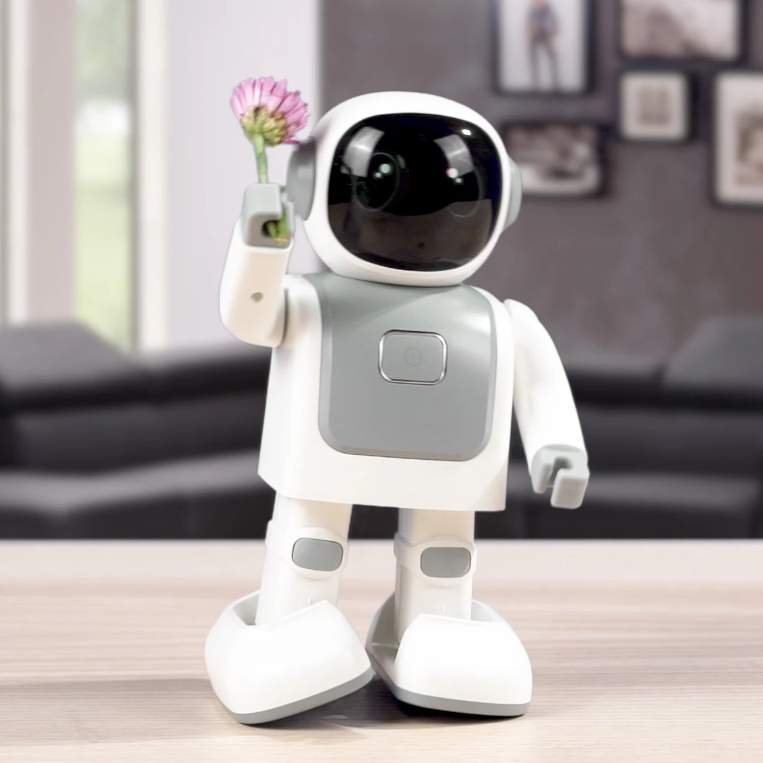 

2020 Hot Sale Dancing Robot Speaker Educational Intelligent Robot