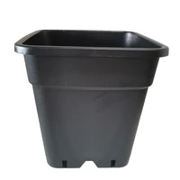 

Wholesale High Quality Black Square 5 Gallon Plastic Nursery Pots