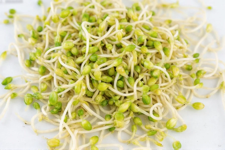 fenugreek sprouts