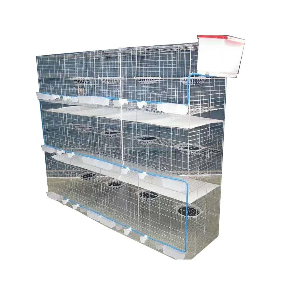 H Type Pigeon Cage,Best Sale Metal Pigeon Cage,Galvanized Layer Pigeon