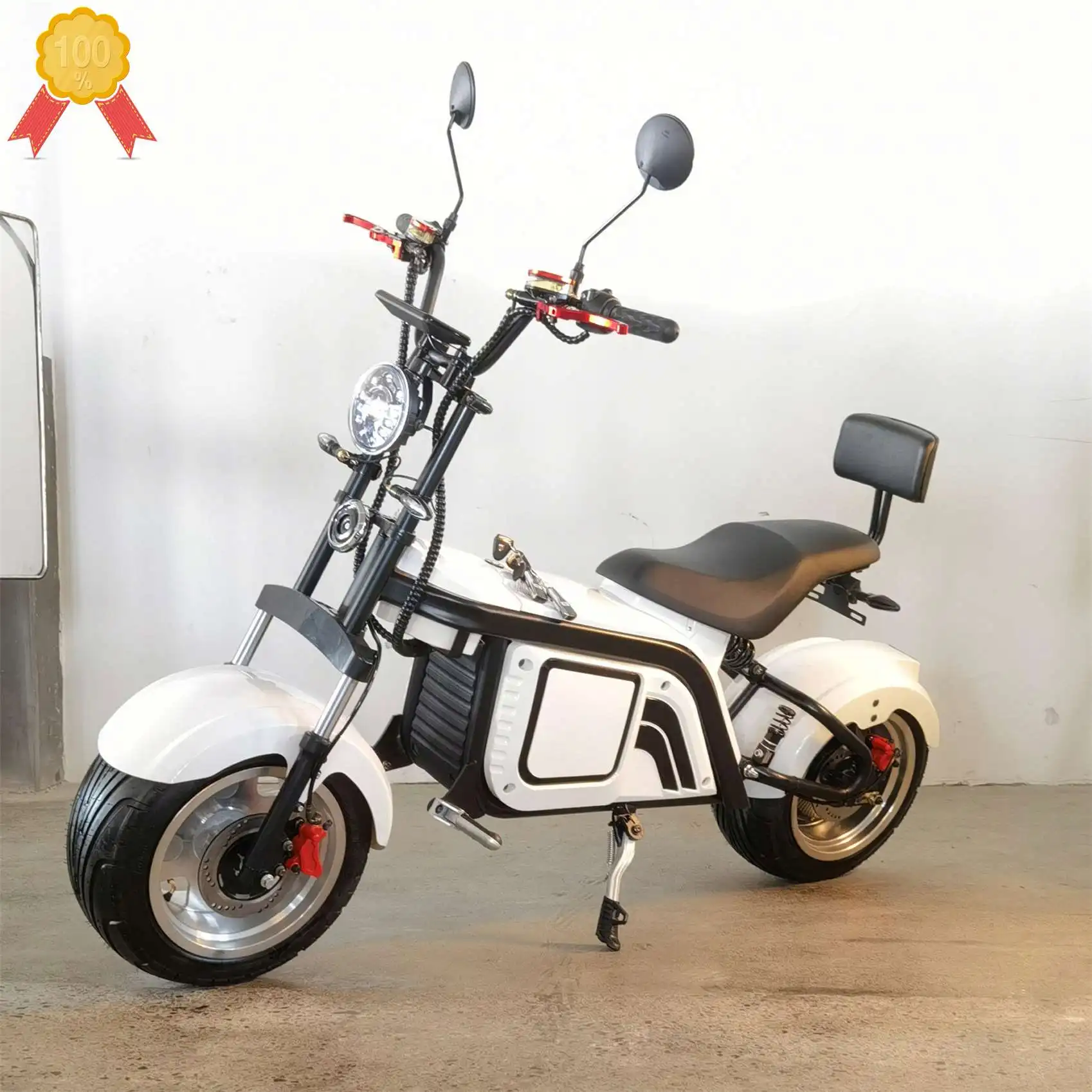 

Speedelec 20Ah Lithium Battery 60V Brushless Electric Scooter Foldable 2000W