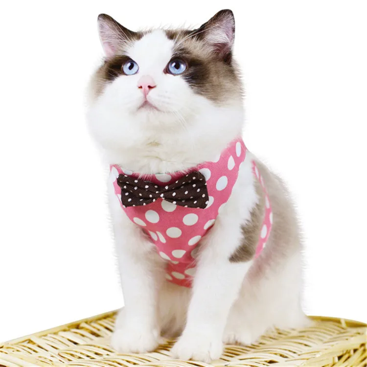 

New fashionable and cute design skin-friendly cat vest harness and leash set