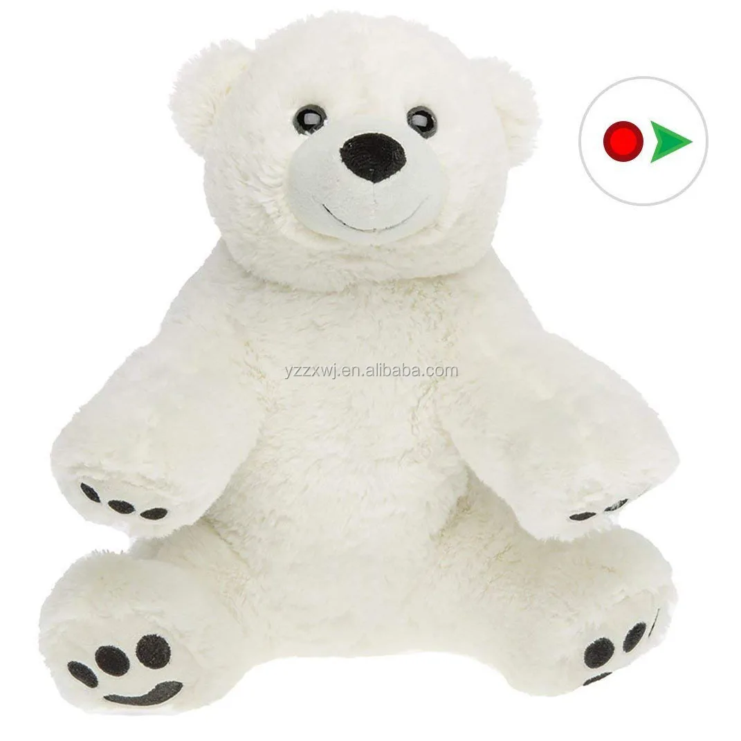 record polar bear (1).jpg