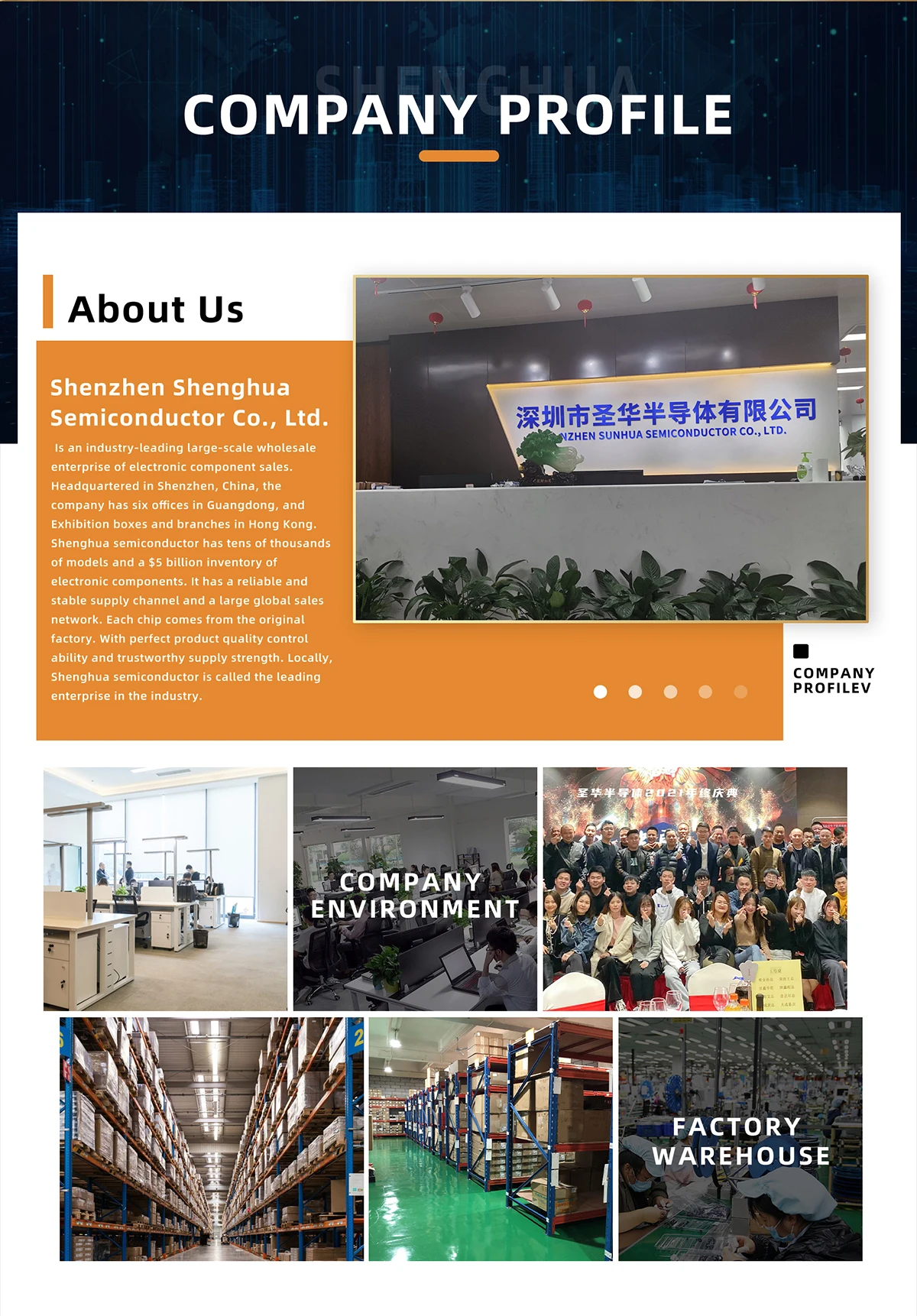 Shenzhen Shenghua Semiconductor Co., Ltd. IC chip, integrated circuit