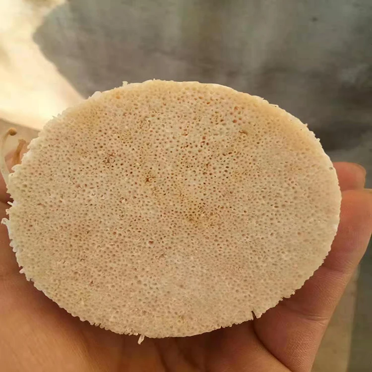 
2020 Highly Nutritious enoki needle Mushrooms Cooking Flavour White Raw Origin 