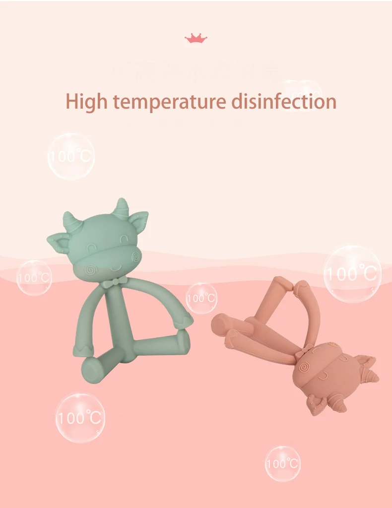 baby teether custom