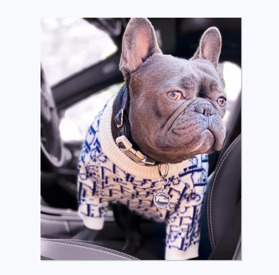 

High-end Luxury Brand Classic Logo Design Knitted Custom Pet Sweater Wholesale