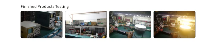 emergency light 220v