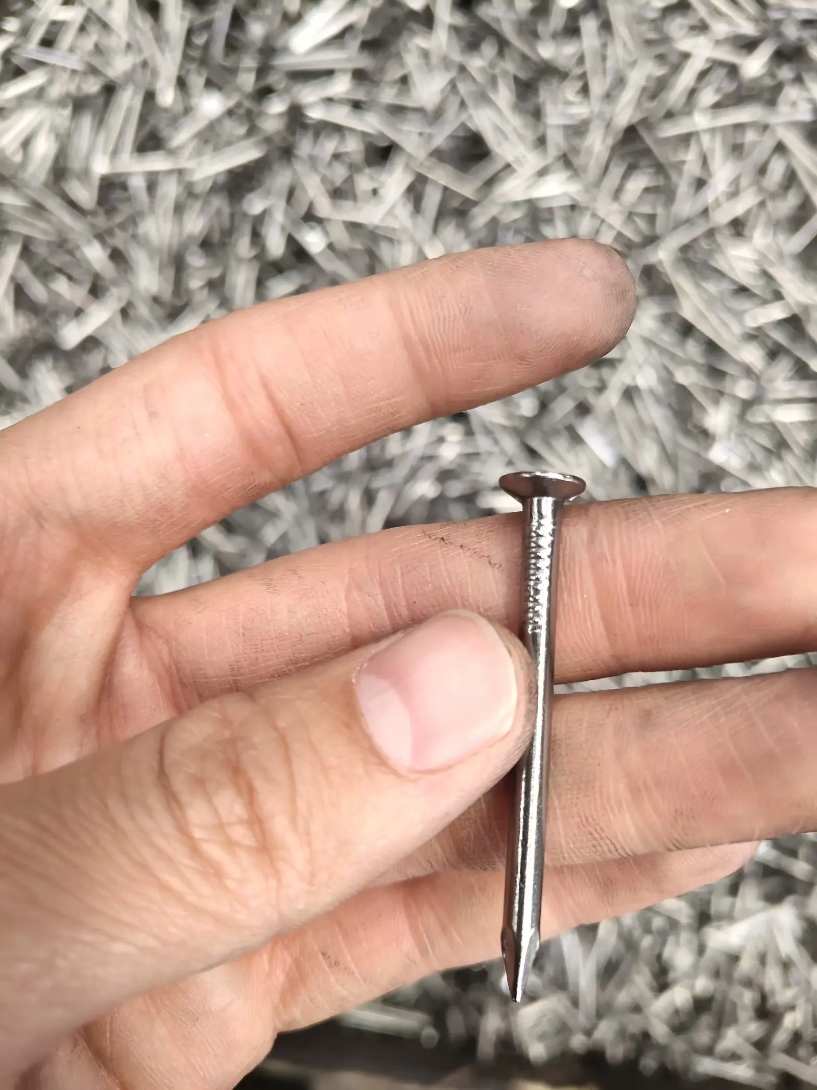 Polishing or galvanized  common round iron wire nails