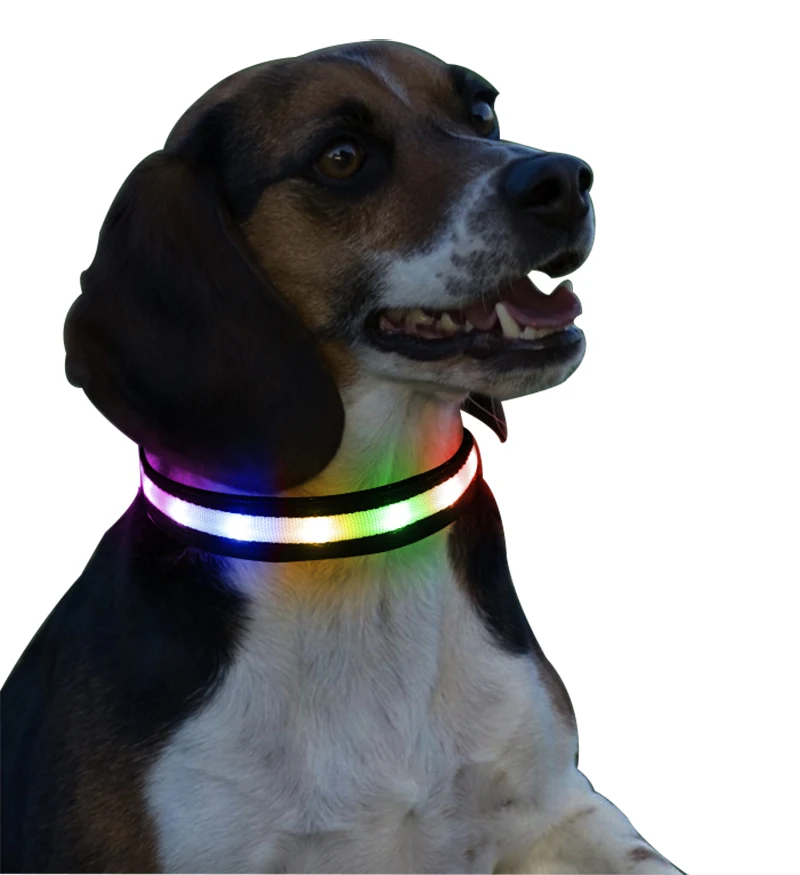 

2019 custom polyester colorful ribbon led dog collar