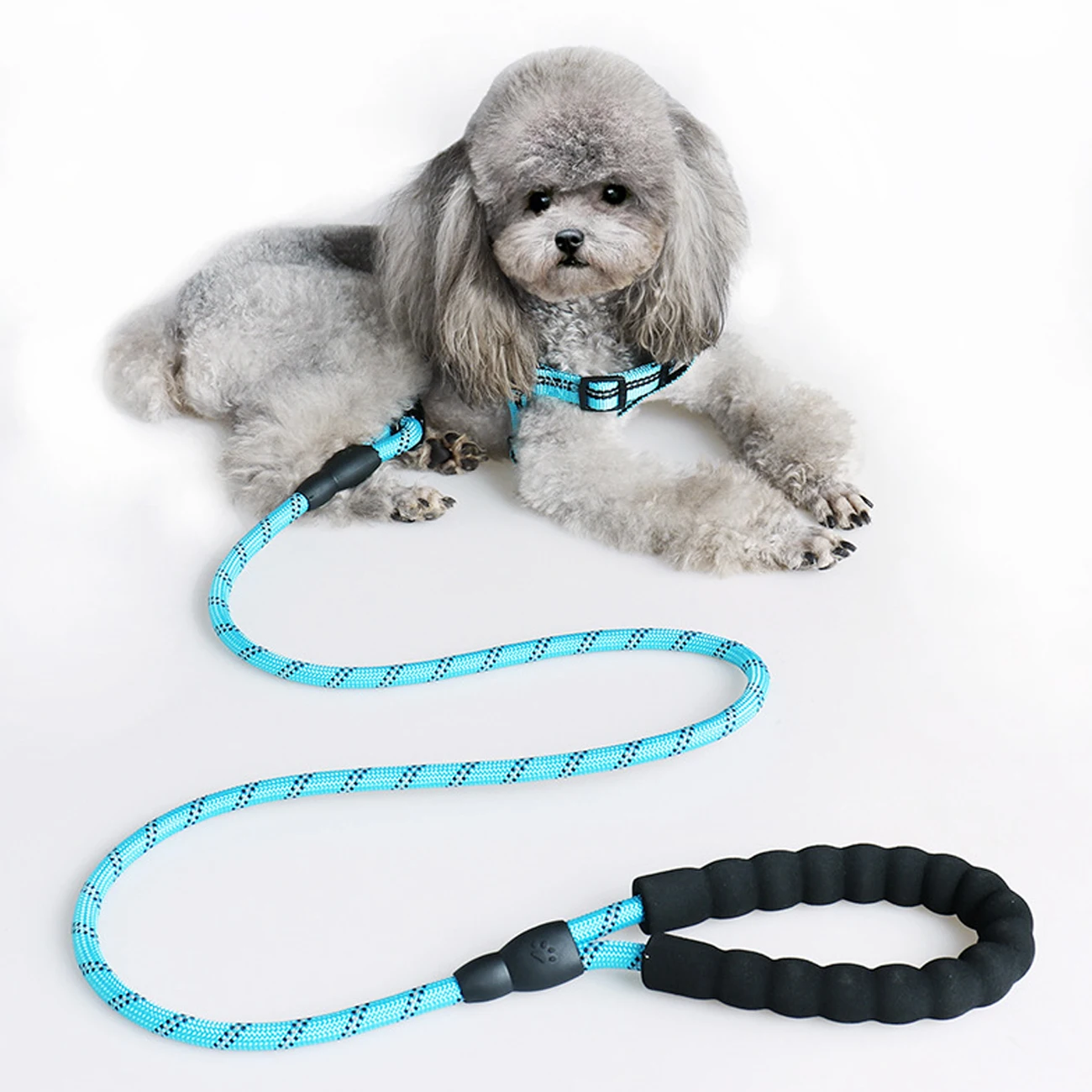 

5 FT Rope Polyester Braided Dog Training Leash Mountain Climbing Reflective Dog Leash for Large Medium Small Dogs Walking Leads, Customized color