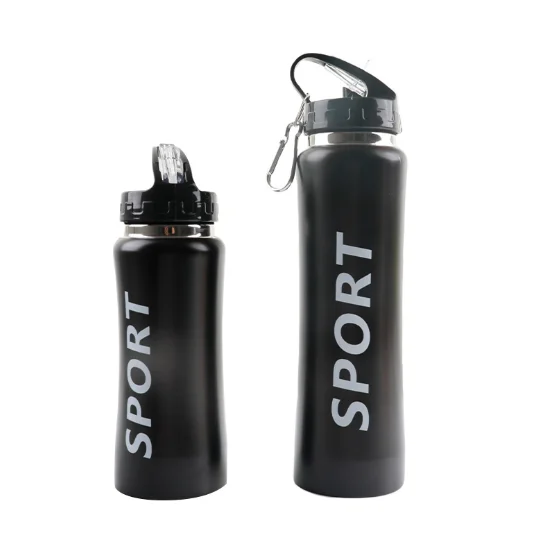 cheaper price 350ml/500ml double wall stainless steel water bottle with straw BPA free