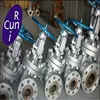 /product-detail/rising-stem-cast-carbon-steel-stainless-steel-gate-valve-62311630087.html