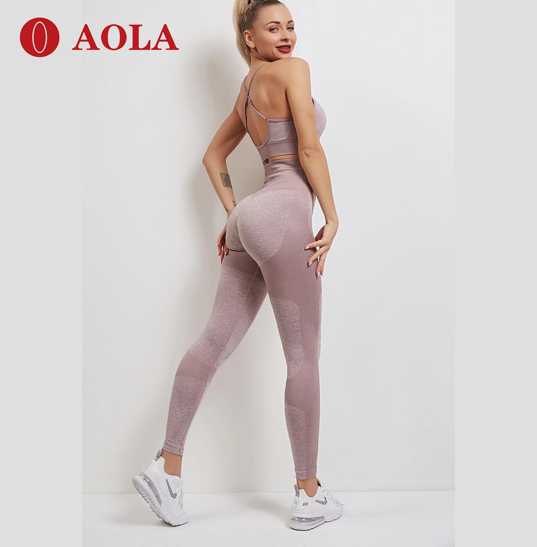 

AOLA 2020 Fitness Wear Clothing Yoga Sport Fashion Gym Leggings Workout For Women Seamless Set, Gray/ green/pink/blue/purple