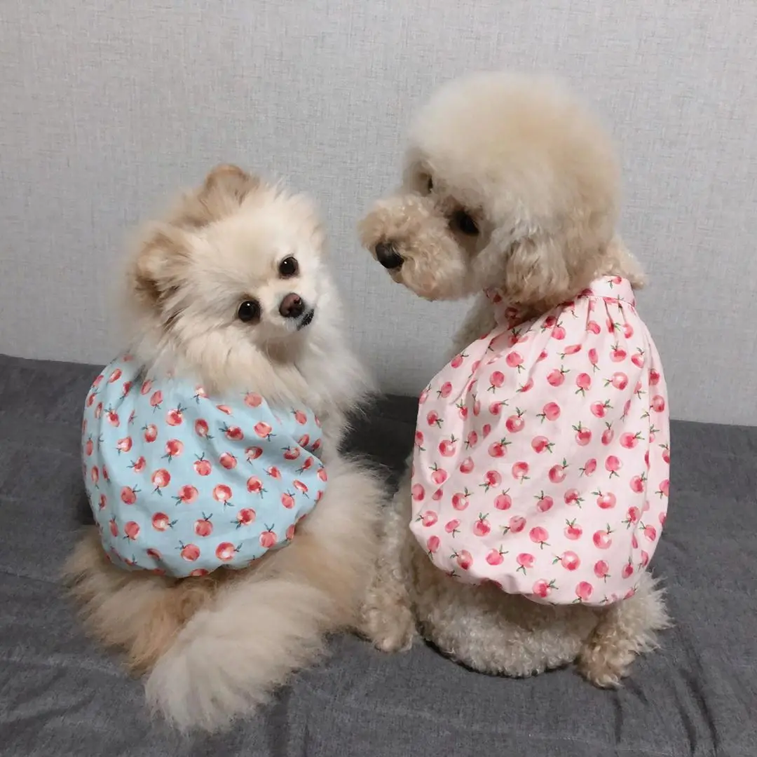 Wholesale Dog Clothes Dress Pet Girl Puppy Clothes Summer Buy Puppy
