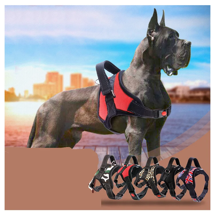 

Custom Logo Designer Soft Nylon No Pull Pet Dog Harness With Leash Vest Easy Walking, Multiple colors