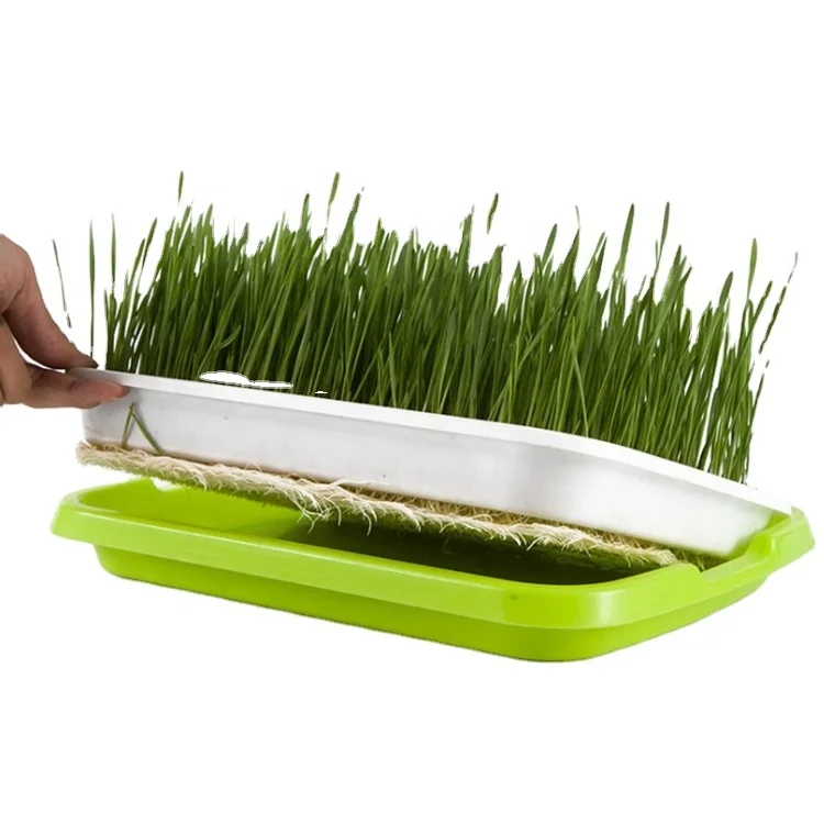 

High quality soilless culture seed seedling trays plastic nursery germination tray garden home office available, Green