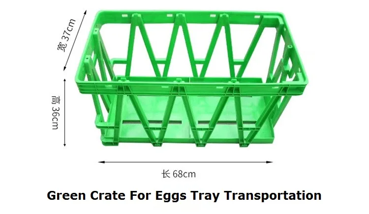 Transport egg crates.jpg