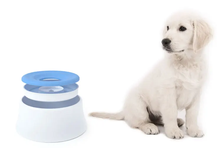 Auto Personalized Water Feeder Trough Cat Water Fountain Self Watering