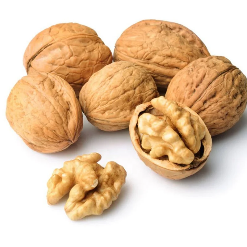 High Germination Rate Walnut Seeds For Planting - Buy Walnut,Walnut ...