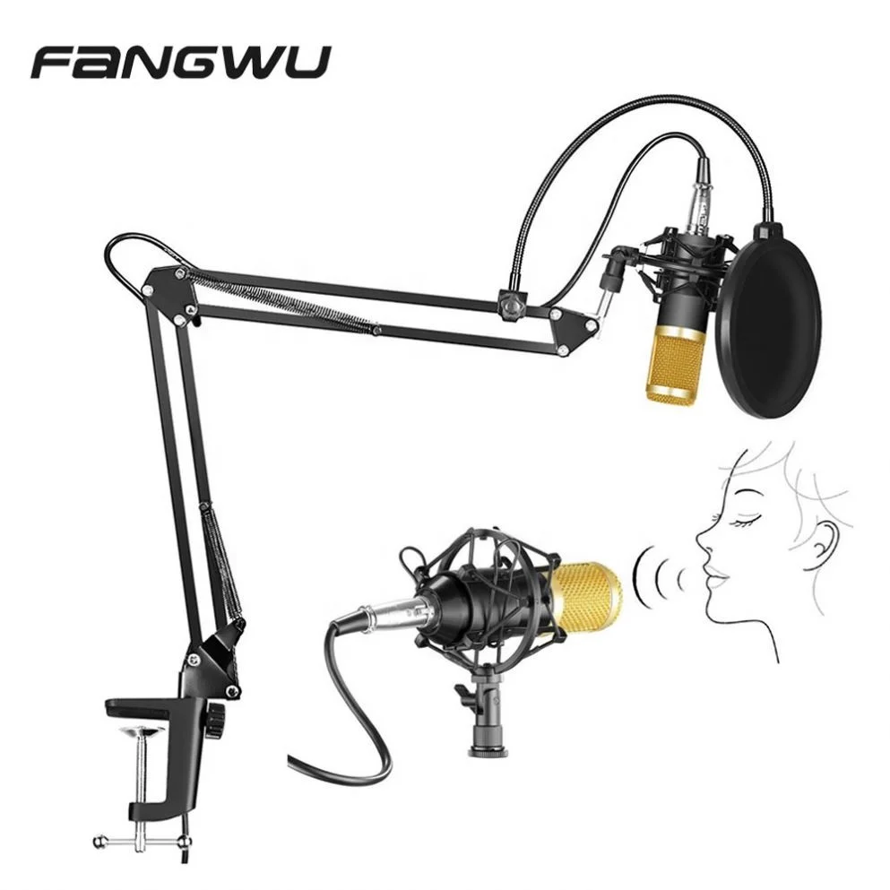

High Quality N eewer Bm 700 800 Condenser Mic Microphone With Arm Stand Pop Filter, Silver