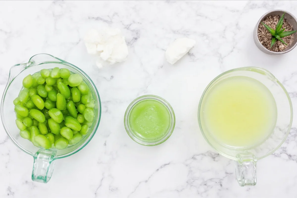 how to preserve aloe vera gel from plant