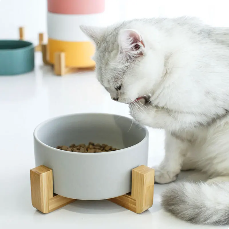
Manufacturer wholesale multi colors ceramic pet cat dog bowl with wooden frame 