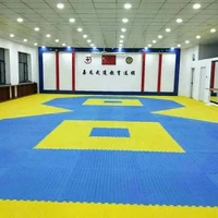 

High quality EVA foam Tatami judo mat play mats for kids and children