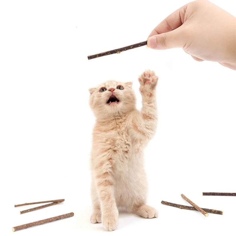 

cat kitten toy matatabi stick for kitten chew actinidia polygama for cat cleaning teeth pure natural silvervine