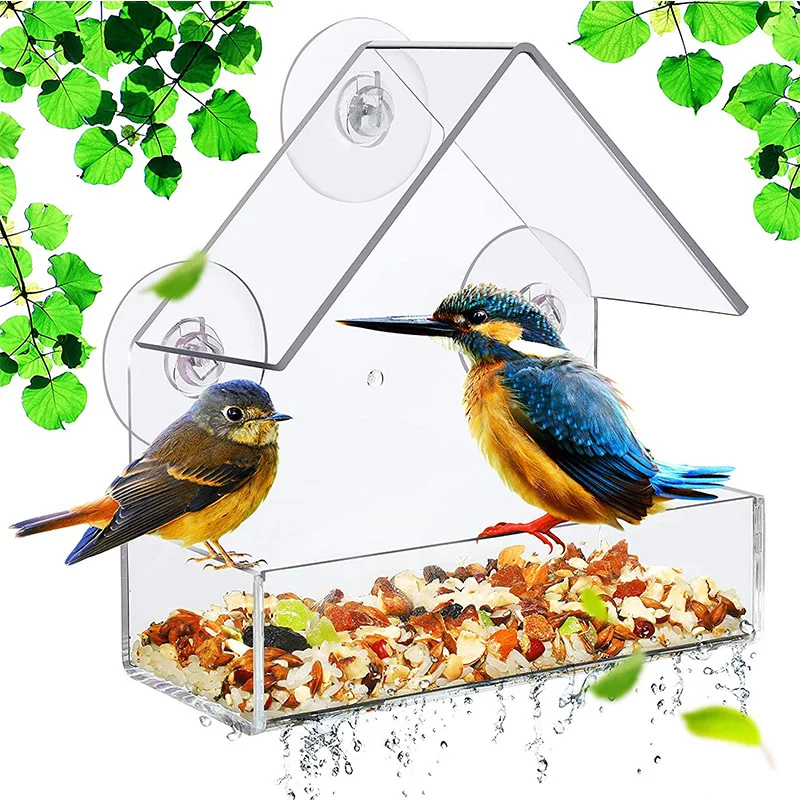 

Good sale high quality acrylic suction cup bird feeder bird splash-proof food box trough bowl display box, Transparent