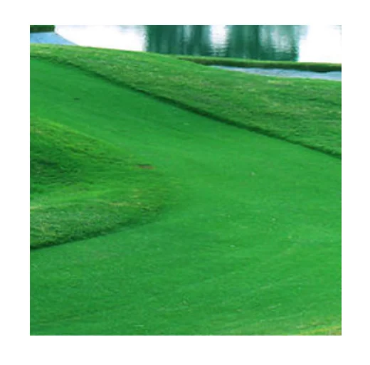 

economic pasto artificial grass garden synthetic lawn for landscaping