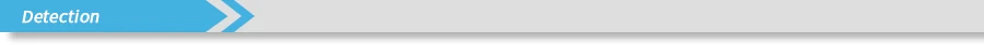 Detection.jpg