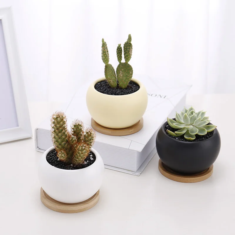 

Wholesale indoor garden white small round succulent planter ceramic pots for plants, White, grey, black, blue, yellow, pink