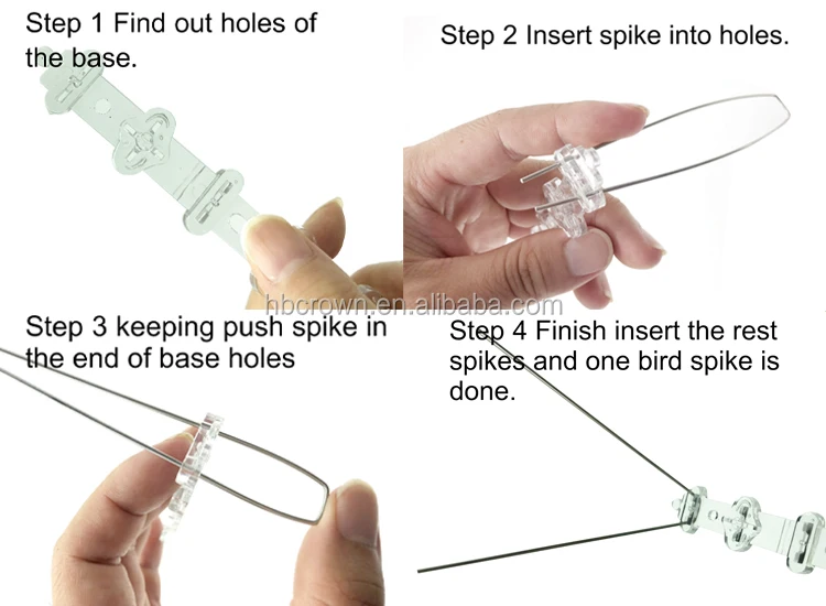 bird spikes