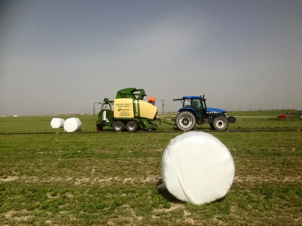 
Alfalfa hay from Turkey 