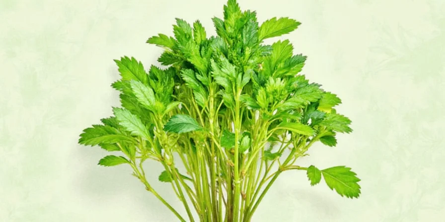 10 Culinary Herbs That Start With 'C' (And How to Use Them Like a Pro)