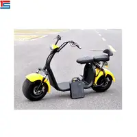 

New Products Mini Folding 2 Wheel Folding citycoco electric scooter