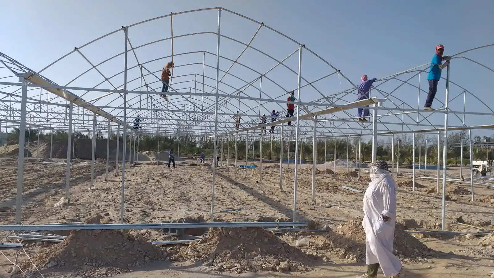 Agricultural Equipment Greenhouses With Hydroponics System Buy