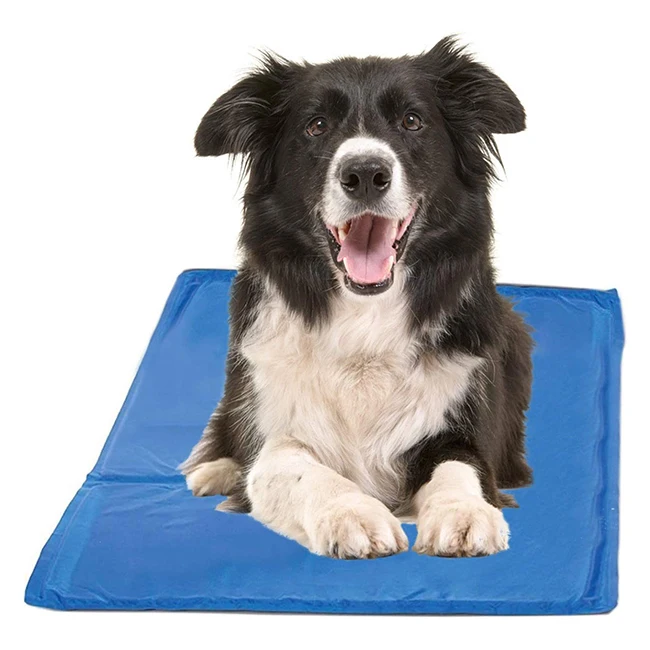 

Factory 50*90cm Waterproof Large Summer Self Cool Summer Gel Pad Cooling Dog Bed, Blue