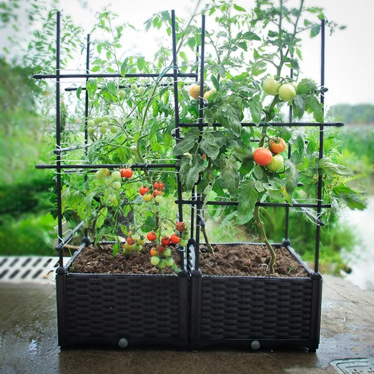 

Garden Climbing Plant Support Cage Garden Trellis Flowers Stand Rings Tomato Support, White/black