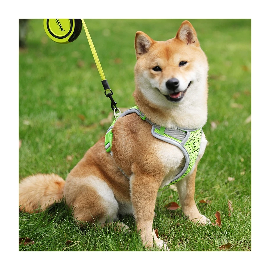 

Adjustable Soft Mesh Pet Dog Collar Chest Straps Harness With Reflective Strap