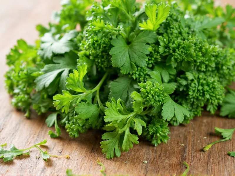Dried Parsley to Fresh Conversion: Exact Measurements