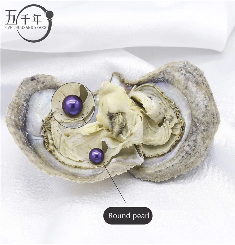

Wholesale 6-8mm colorful AAAA+ grade freshwater round pearl akoya oyster love wish Cultured saltwater oyster in Vacuum-Packed
