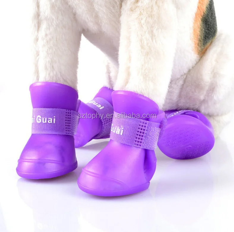 pet cat shoes