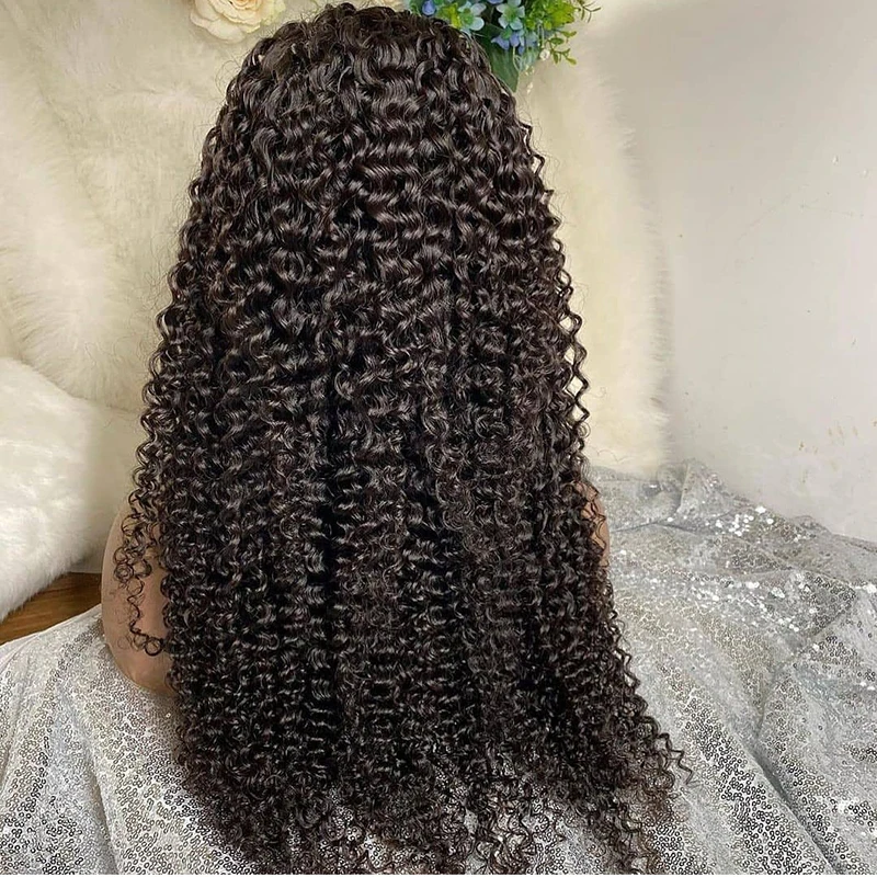 

Wholesale Cheap Raw Indian Virgin Kinky Curly Human Hair Hd Full Lace Frontal Wig Natural Human Hair Transparent Lace Front Wigs